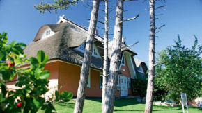 Haus Strandgut FW 2 in Ahrenshoop